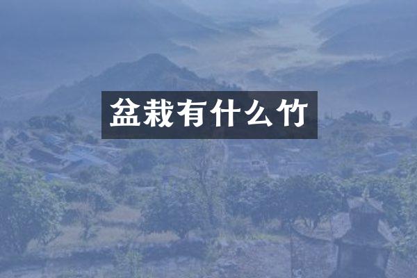 盆栽有什么竹