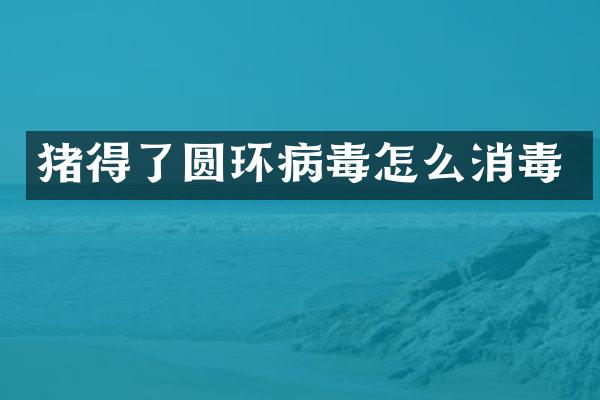 猪得了圆环病毒怎么消毒