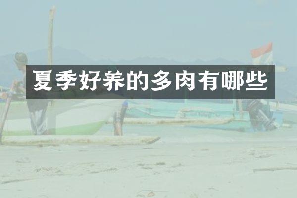 夏季好养的多肉有哪些