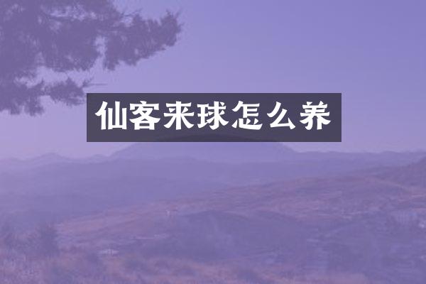 仙客来球怎么养