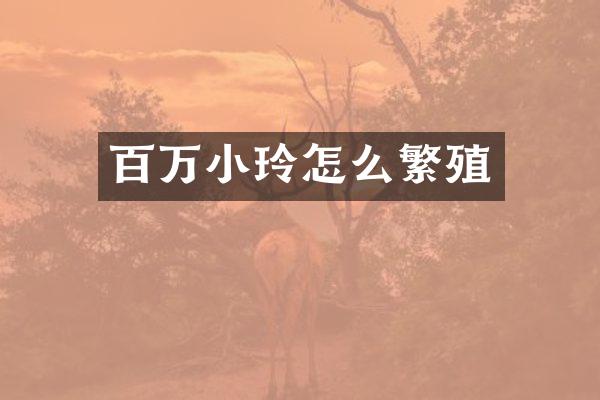 百万小玲怎么繁殖