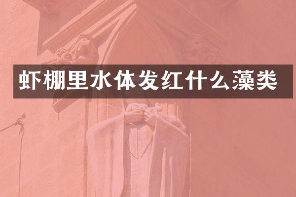 虾棚里水体发红什么藻类