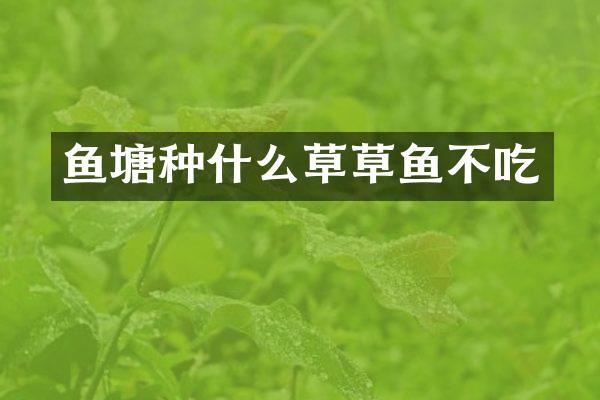 鱼塘种什么草草鱼不吃