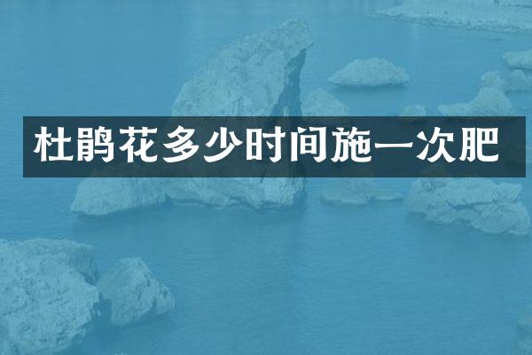 杜鹃花多少时间施一次肥
