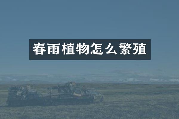 春雨植物怎么繁殖