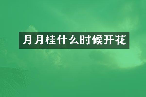 月月桂什么时候开花