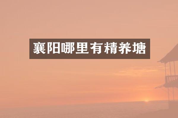 襄阳哪里有精养塘