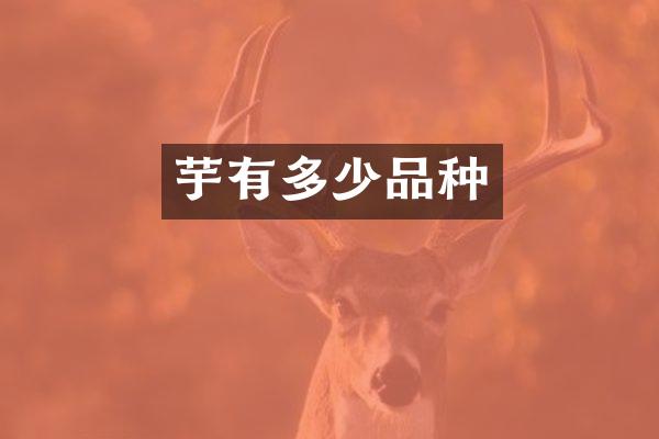 芋有多少品种