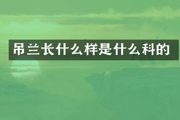 吊兰长什么样是什么科的