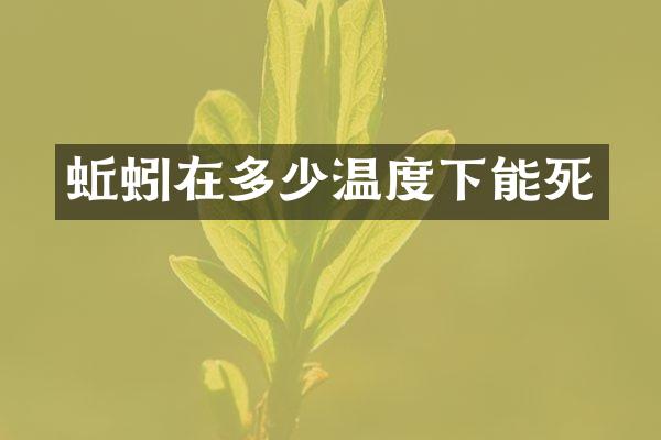 蚯蚓在多少温度下能死