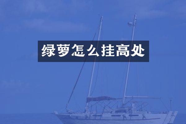 绿萝怎么挂高处