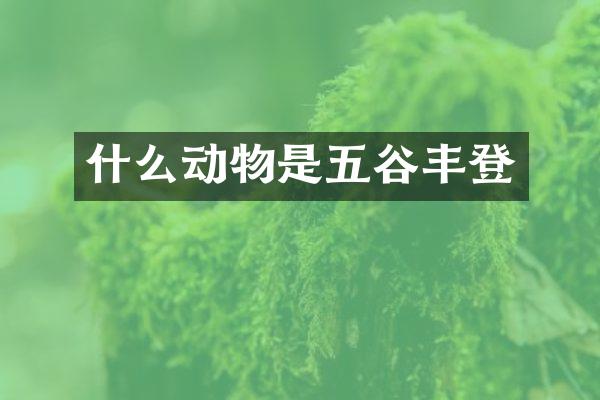 什么动物是五谷丰登