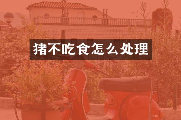 猪不吃食怎么处理