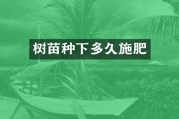 树苗种下多久施肥