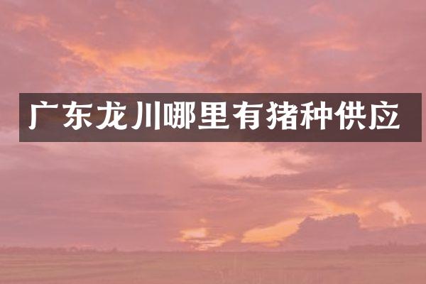 广东龙川哪里有猪种供应