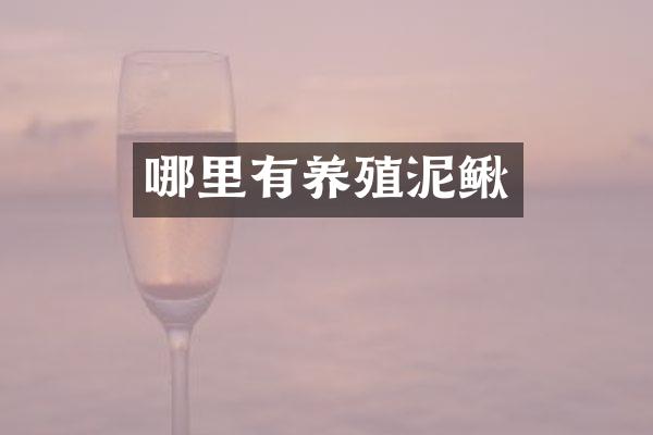 哪里有养殖泥鳅