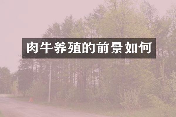 肉牛养殖的前景如何