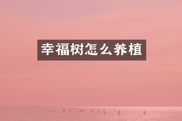 幸福树怎么养植
