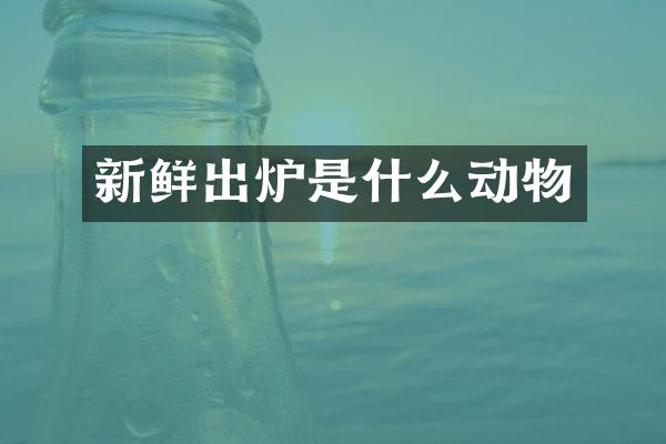新鲜出炉是什么动物