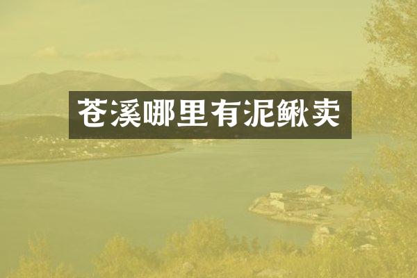 苍溪哪里有泥鳅卖