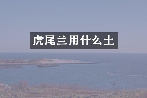 虎尾兰用什么土