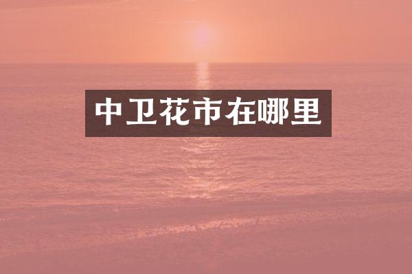 中卫花市在哪里