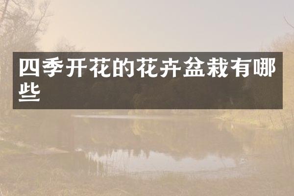 四季开花的花卉盆栽有哪些