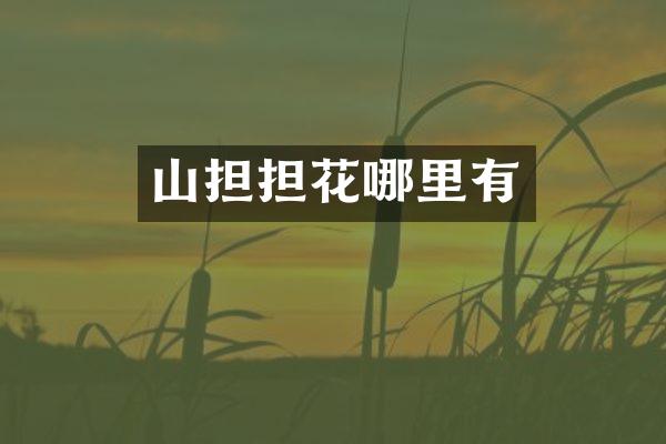 山担担花哪里有
