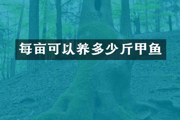 每亩可以养多少斤甲鱼
