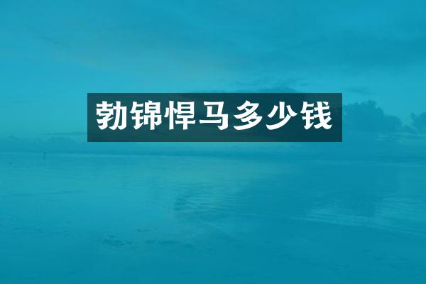 勃锦悍马多少钱