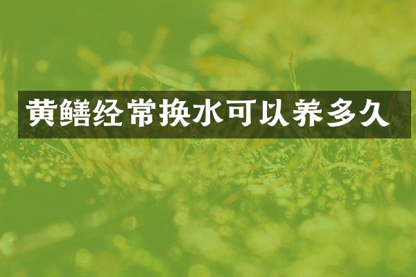 黄鳝经常换水可以养多久