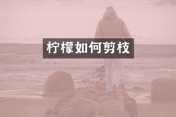 柠檬如何剪枝
