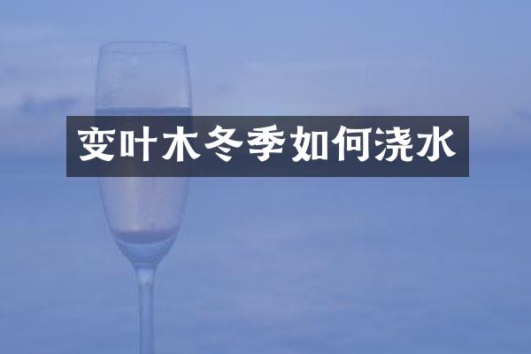 变叶木冬季如何浇水