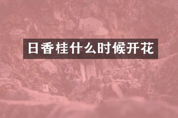 日香桂什么时候开花