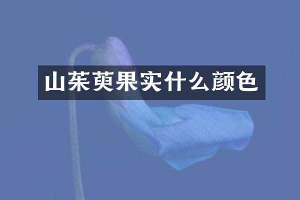 山茱萸果实什么颜色