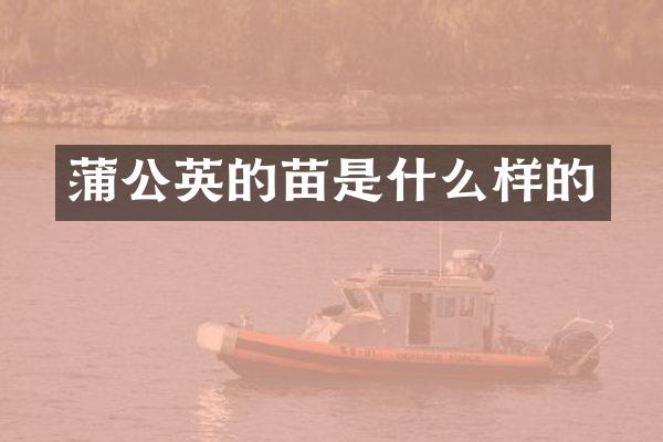蒲公英的苗是什么样的