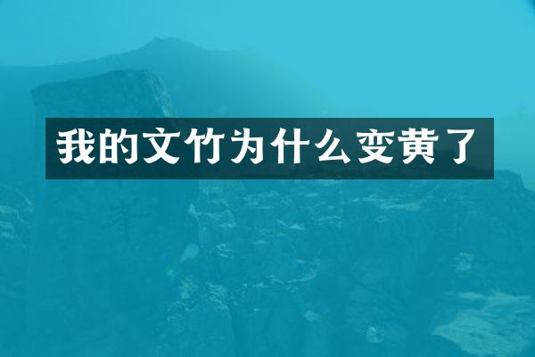 我的文竹为什么变黄了