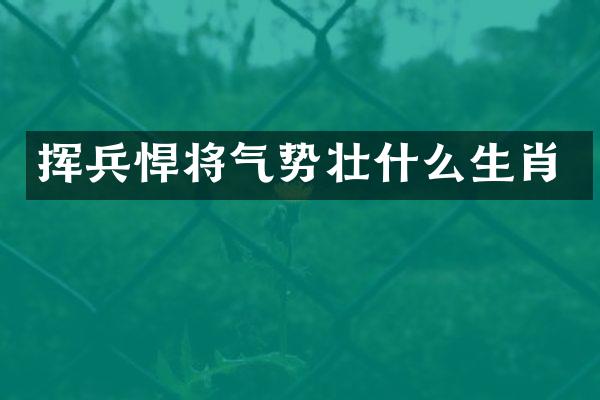 挥兵悍将气势壮什么生肖