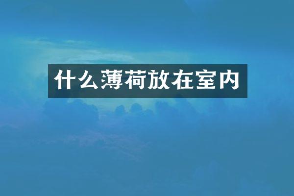 什么薄荷放在室内