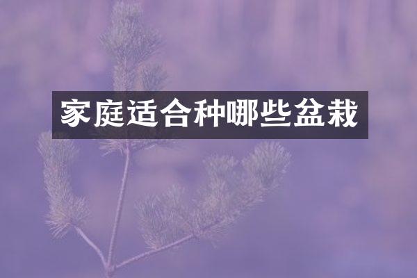 家庭适合种哪些盆栽