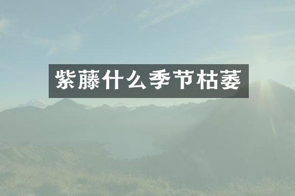紫藤什么季节枯萎