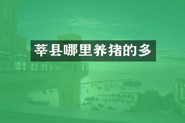 莘县哪里养猪的多