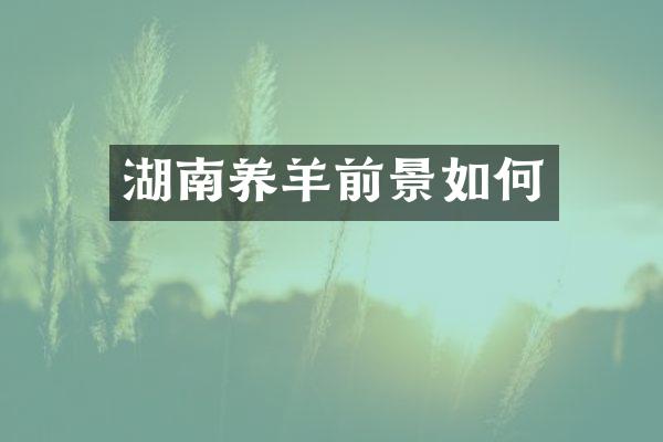 湖南养羊前景如何