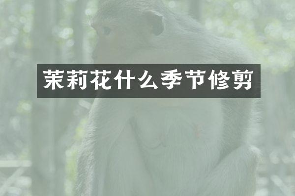茉莉花什么季节修剪