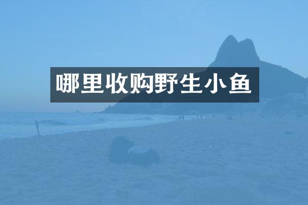 哪里收购野生小鱼