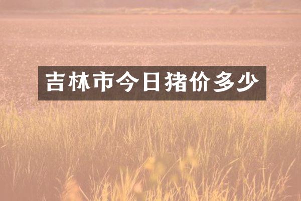 吉林市今日猪价多少