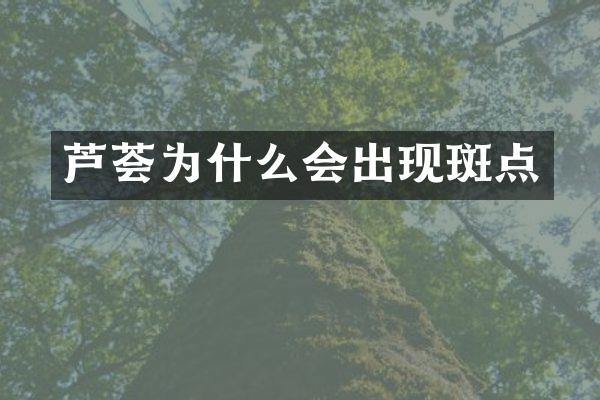 芦荟为什么会出现斑点