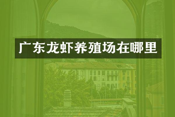 广东龙虾养殖场在哪里
