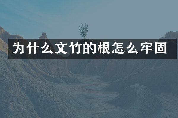 为什么文竹的根怎么牢固