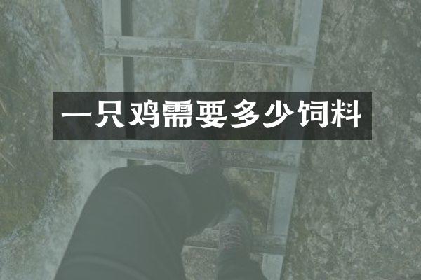一只鸡需要多少饲料